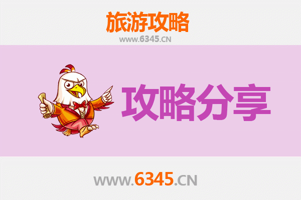 嘉兴秀洲旅游攻略：跟团与自由行全方位对比